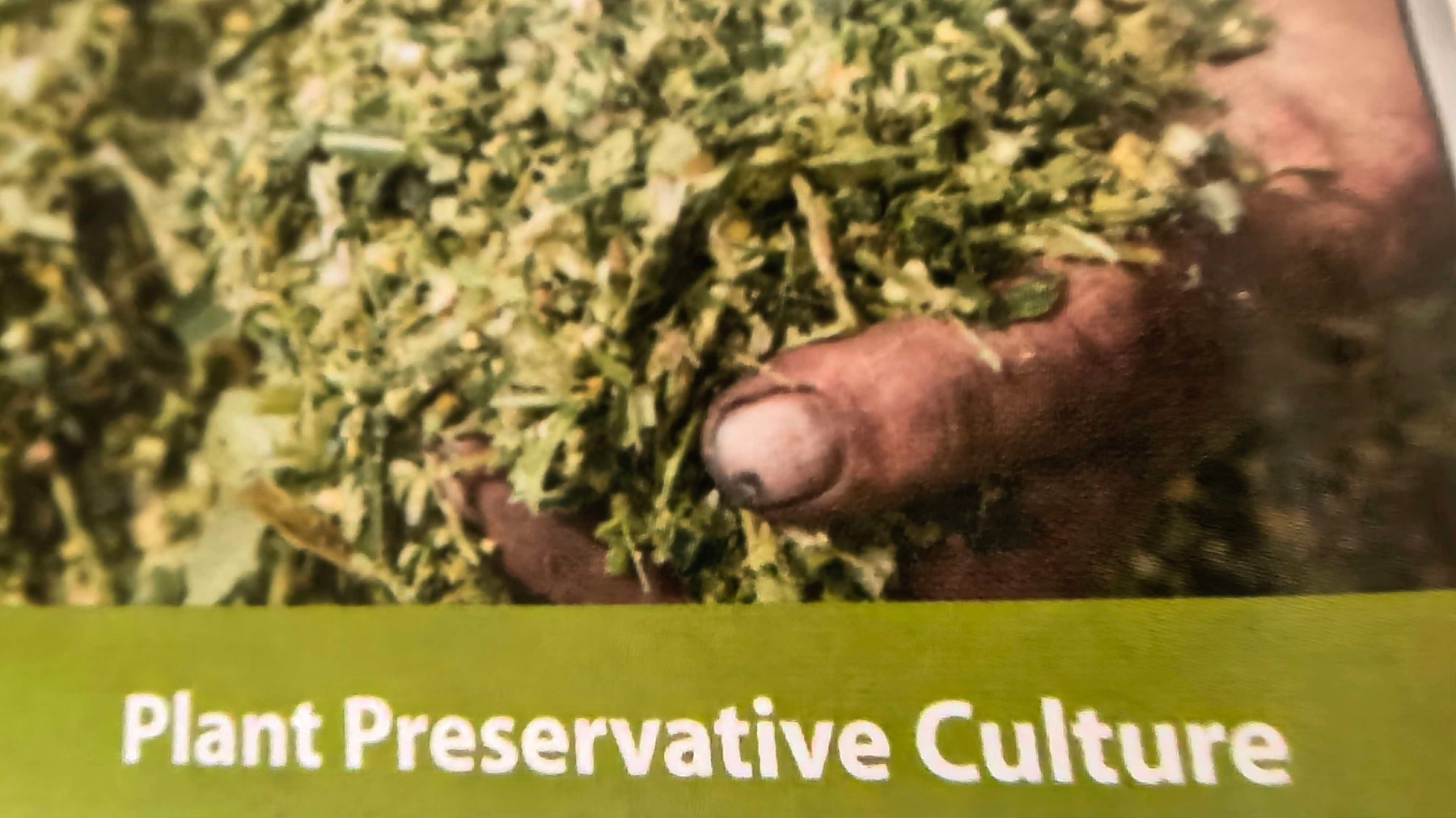 Natural Extract 