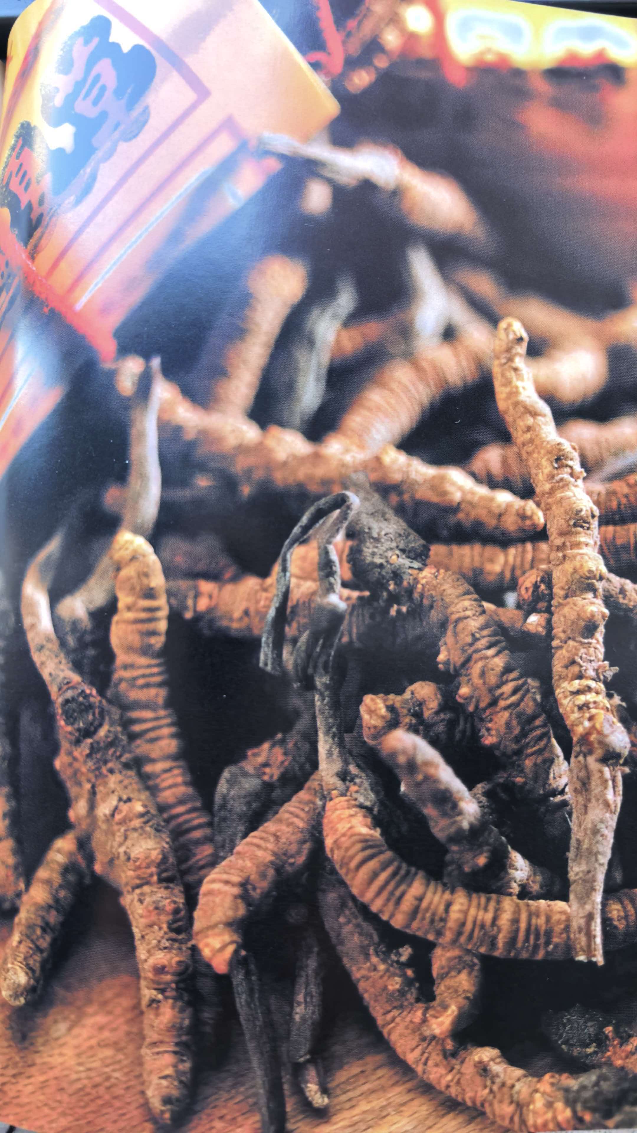 Extract 